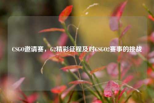 CSGO邀请赛,G2精彩征程及对CSGO2赛事的挑战