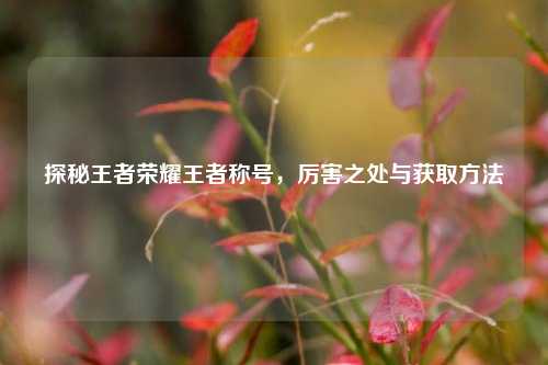 探秘王者荣耀王者称号，厉害之处与获取方法
