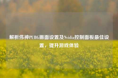 解析伟神PUBG画面设置及Nvidia控制面板最佳设置，提升游戏体验