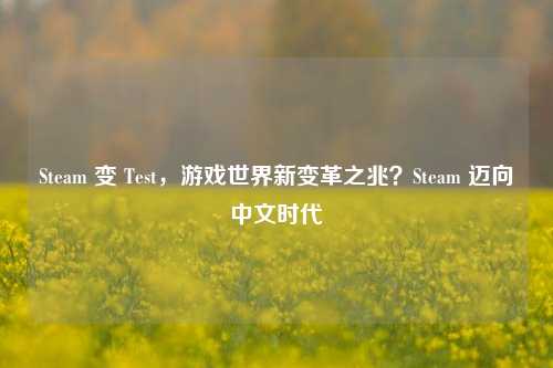 Steam 变 Test,游戏世界新变革之兆?Steam 迈向中文时代