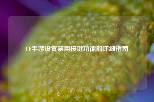 CF手游设置禁用按键功能的详细指南