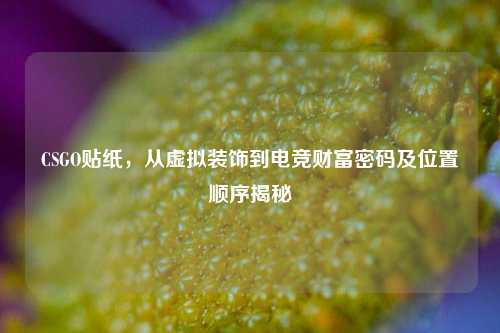 CSGO贴纸，从虚拟装饰到电竞财富密码及位置顺序揭秘