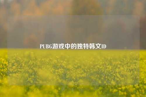 PUBG游戏中的独特韩文ID