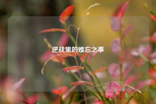 逆战里的难忘之事