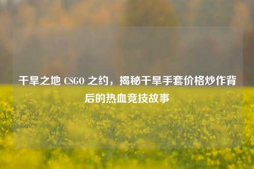 干旱之地 CSGO 之约，揭秘干旱手套价格炒作背后的热血竞技故事