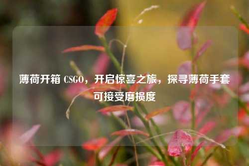 薄荷开箱 CSGO，开启惊喜之旅，探寻薄荷手套可接受磨损度