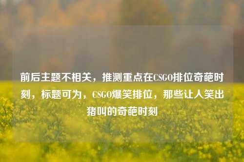 前后主题不相关,推测重点在CSGO排位奇葩时刻,标题可为,CSGO爆笑排位,那些让人笑出猪叫的奇葩时刻