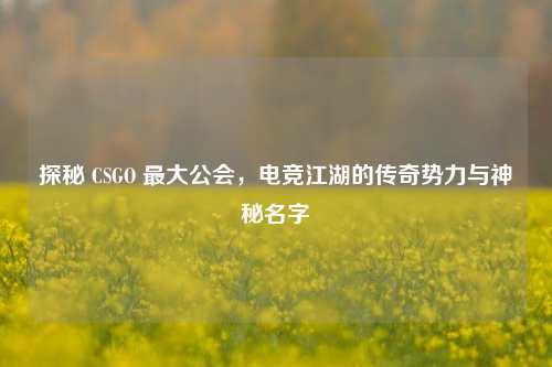探秘 CSGO 最大公会，电竞江湖的传奇势力与神秘名字