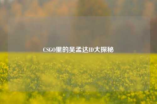 CSGO里的吴孟达ID大探秘