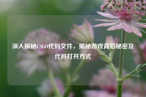 深入探秘CSGO代码文件，揭秘游戏背后秘密及代码打开方式