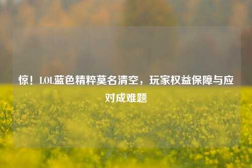惊！LOL蓝色精粹莫名清空，玩家权益保障与应对成难题