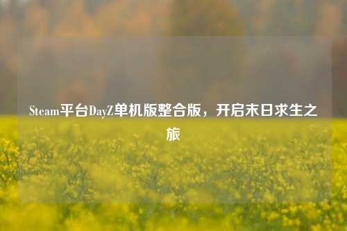 Steam平台DayZ单机版整合版,开启末日求生之旅