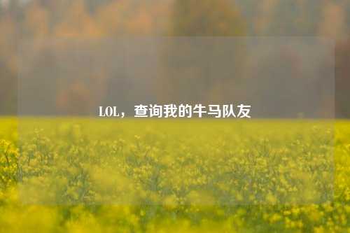 LOL，查询我的牛马队友