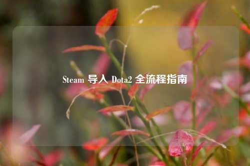 Steam 导入 Dota2 全流程指南