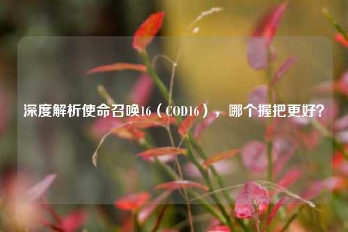 深度解析使命召唤16（COD16），哪个握把更好？