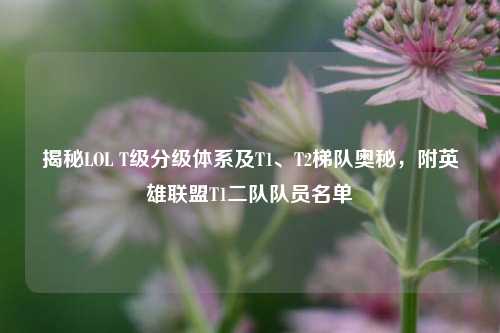 揭秘LOL T级分级体系及T1、T2梯队奥秘，附英雄联盟T1二队队员名单