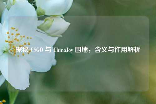 探秘 CSGO 与 ChinaJoy 围墙,含义与作用解析