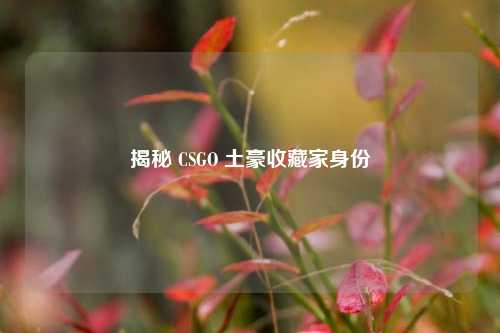揭秘 CSGO 土豪收藏家身份