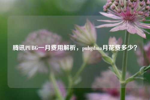 腾讯PUBG一月费用解析,pubgdma月花费多少?