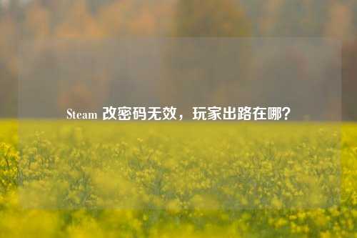 Steam 改密码无效,玩家出路在哪?