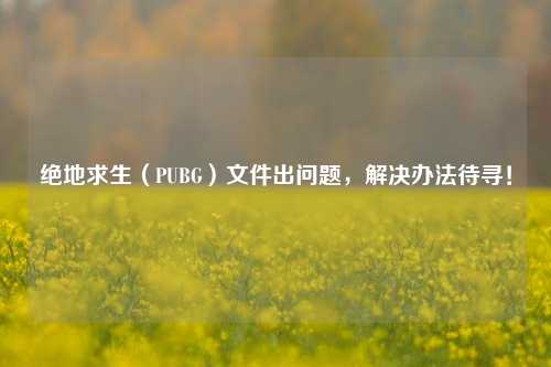 绝地求生(PUBG)文件出问题,解决办法待寻!