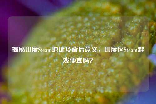 揭秘印度Steam地址及背后意义,印度区Steam游戏便宜吗?