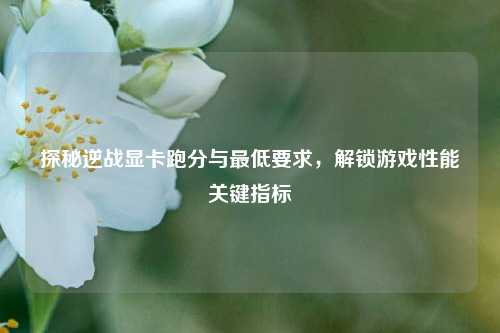 探秘逆战显卡跑分与最低要求，解锁游戏性能关键指标