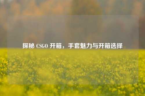 探秘 CSGO 开箱，手套魅力与开箱选择