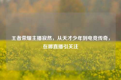 王者荣耀主播寂然，从天才少年到电竞传奇，在哪直播引关注