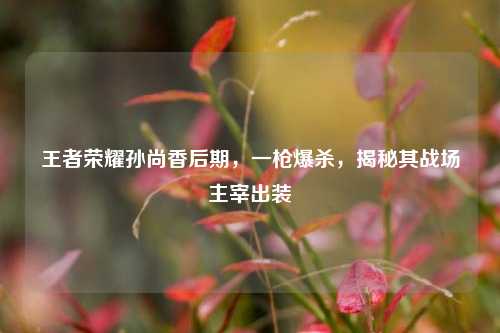 王者荣耀孙尚香后期,一枪爆杀,揭秘其战场主宰出装