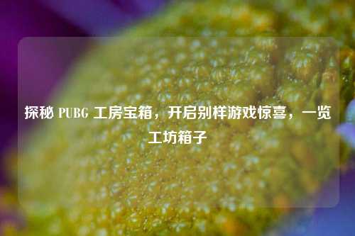 探秘 PUBG 工房宝箱，开启别样游戏惊喜，一览工坊箱子