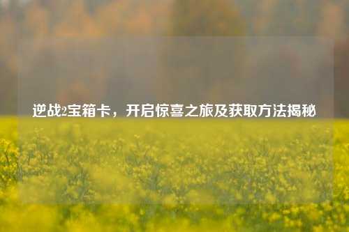 逆战2宝箱卡，开启惊喜之旅及获取方法揭秘