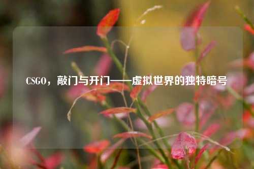 CSGO，敲门与开门——虚拟世界的独特暗号