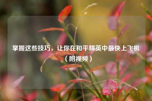 掌握这些技巧,让你在和平精英中最快上飞机(附视频)
