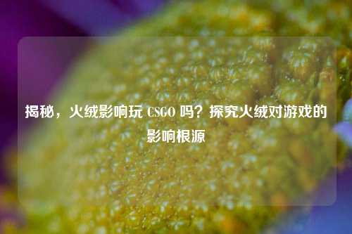 揭秘，火绒影响玩 CSGO 吗？探究火绒对游戏的影响根源