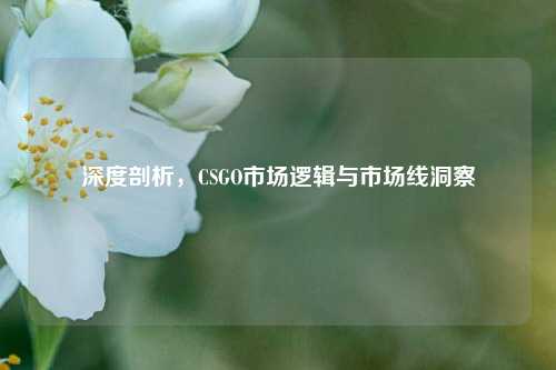 深度剖析，CSGO市场逻辑与市场线洞察