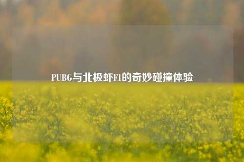 PUBG与北极虾F1的奇妙碰撞体验