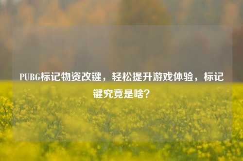 PUBG标记物资改键,轻松提升游戏体验,标记键究竟是啥?