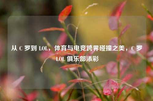 从 C 罗到 LOL，体育与电竞跨界碰撞之美，C 罗 LOL 俱乐部添彩