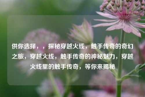 供你选择,,探秘穿越火线,触手传奇的奇幻之旅,穿越火线,触手传奇的神秘魅力,穿越火线里的触手传奇,等你来揭秘