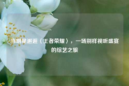 当明星邂逅〈王者荣耀〉，一场别样视听盛宴的综艺之旅