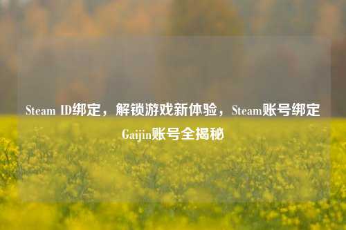Steam ID绑定,解锁游戏新体验,Steam账号绑定Gaijin账号全揭秘