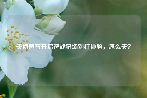 关闭声音开启逆战猎场别样体验,怎么关?