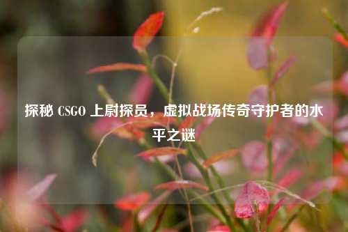 探秘 CSGO 上尉探员,虚拟战场传奇守护者的水平之谜