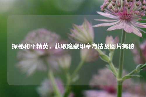 探秘和平精英,获取隐藏印章方法及图片揭秘