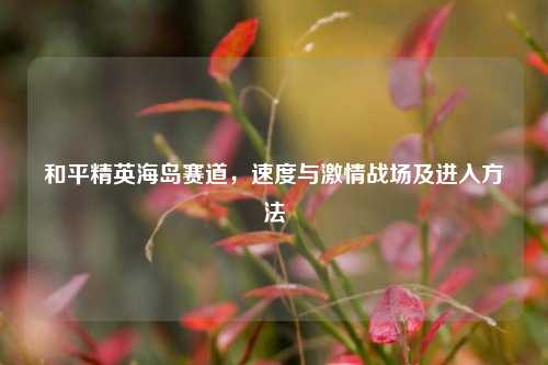 和平精英海岛赛道,速度与激情战场及进入方法