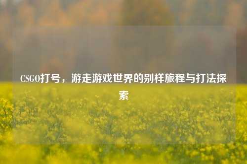 CSGO打号,游走游戏世界的别样旅程与打法探索