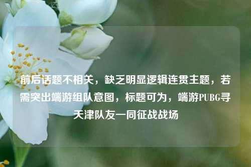 前后话题不相关,缺乏明显逻辑连贯主题,若需突出端游组队意图,标题可为,端游PUBG寻天津队友一同征战战场