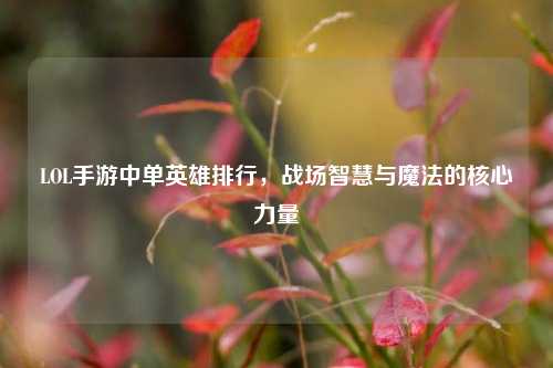 LOL手游中单英雄排行,战场智慧与魔法的核心力量