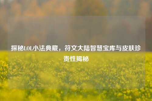 探秘LOL小法典藏，符文大陆智慧宝库与皮肤珍贵性揭秘